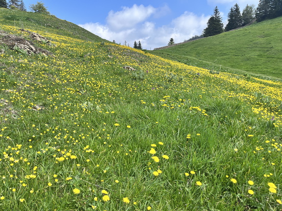 23-05-26 13-22-42 5697